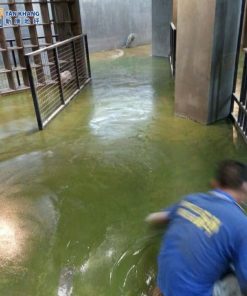 Lớp Sơn Giưa Epoxy